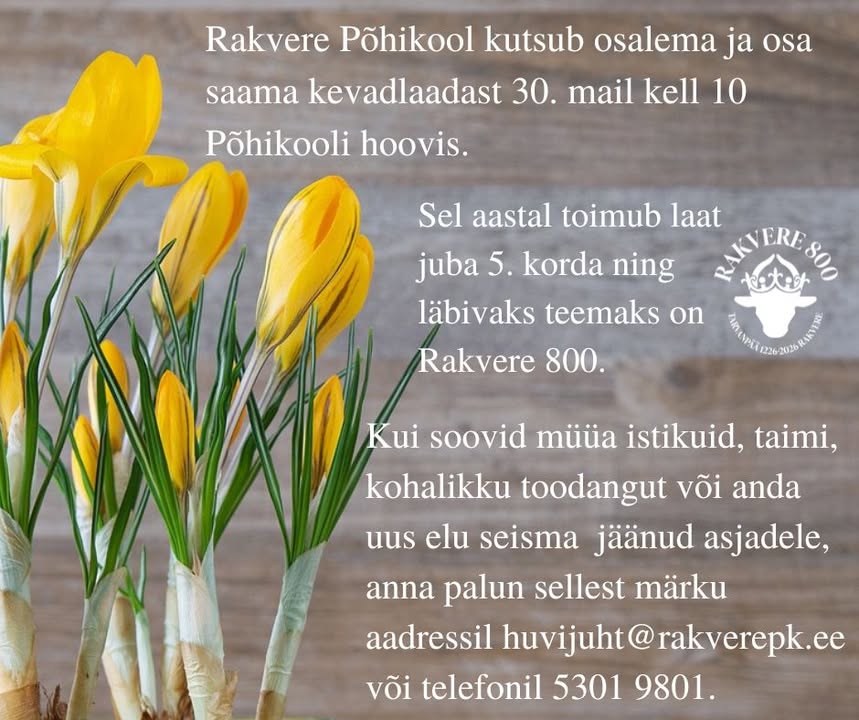 Rakvere Põhikool